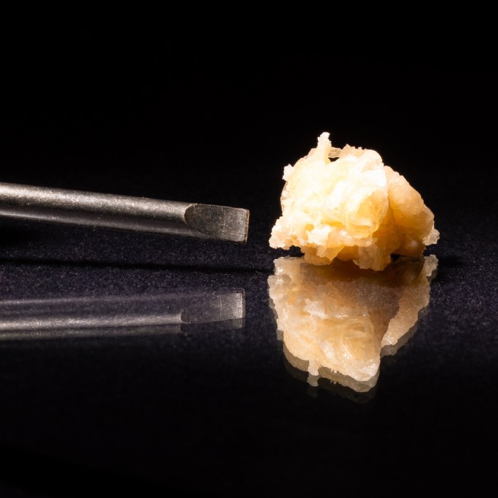 concentrate opt
