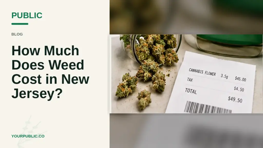 Cannabis buds beside New Jersey dispensary receipt