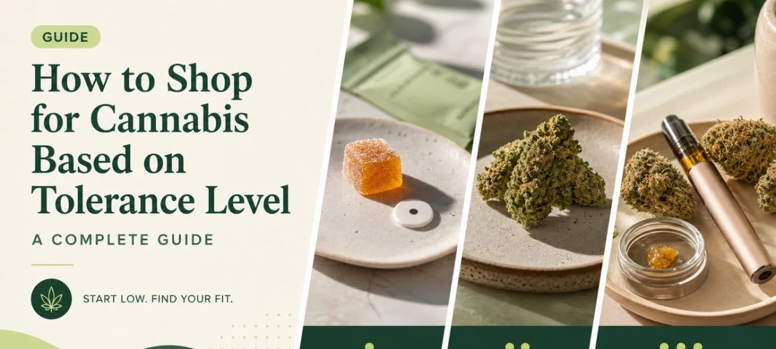 cannabis tolerance level guide hero v2