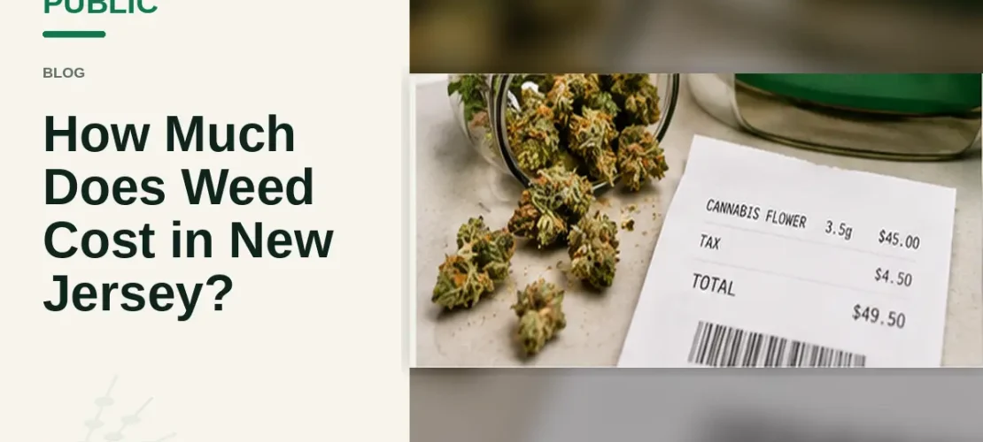 Cannabis buds beside New Jersey dispensary receipt