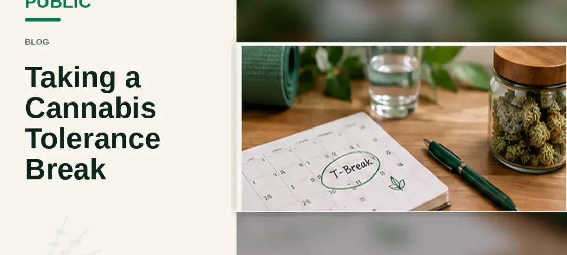 Cannabis tolerance break calendar beside cannabis jar